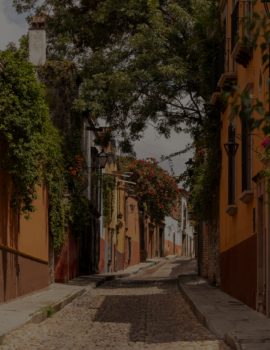 Visit in Mexico